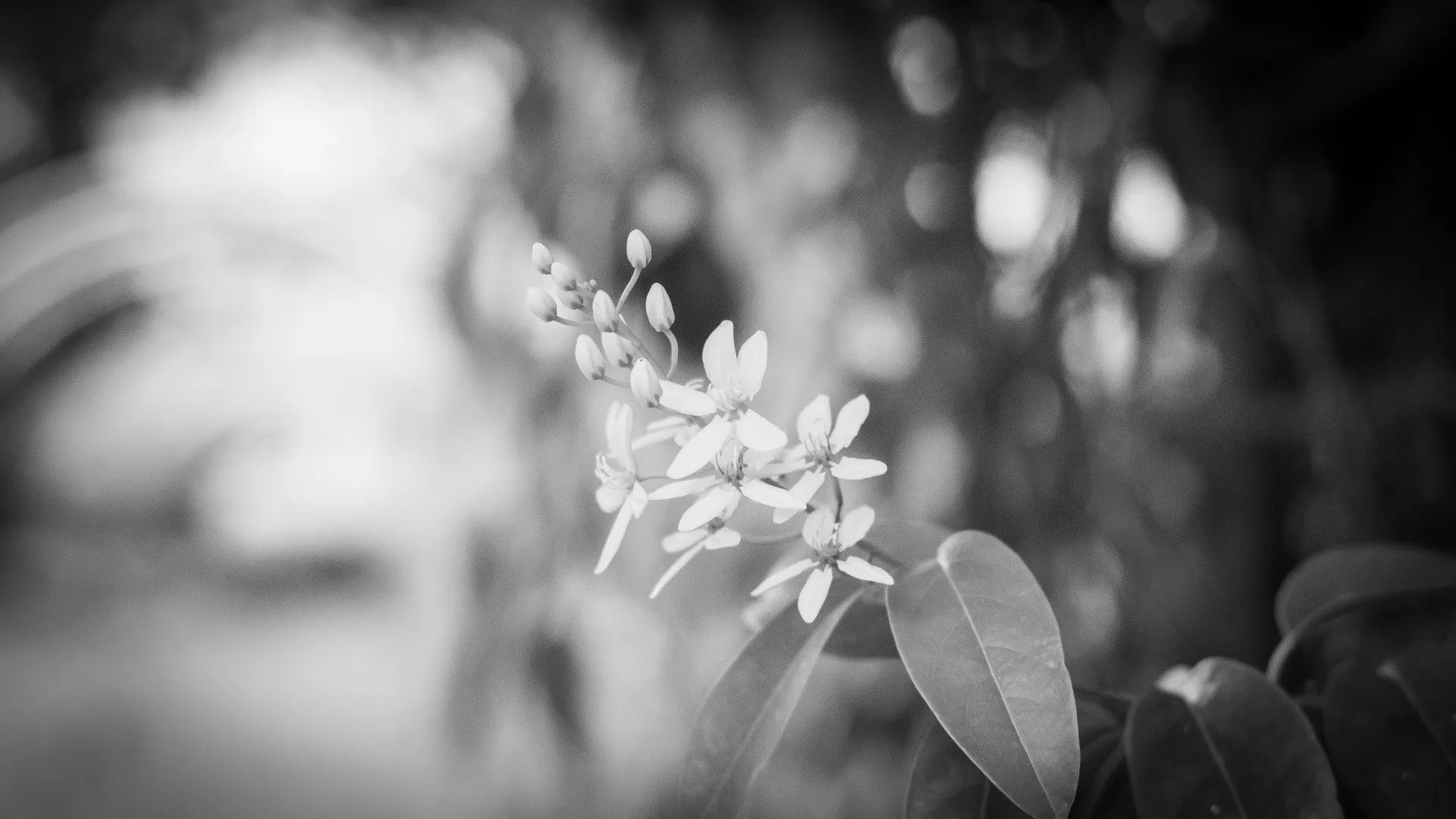 Gary McRae Street Photographer Singapore 7